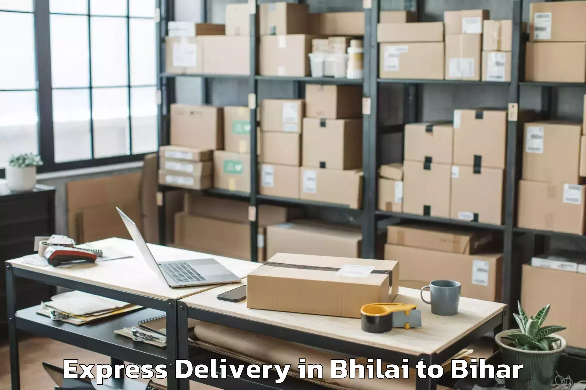 Trusted Bhilai to Bairgania Express Delivery